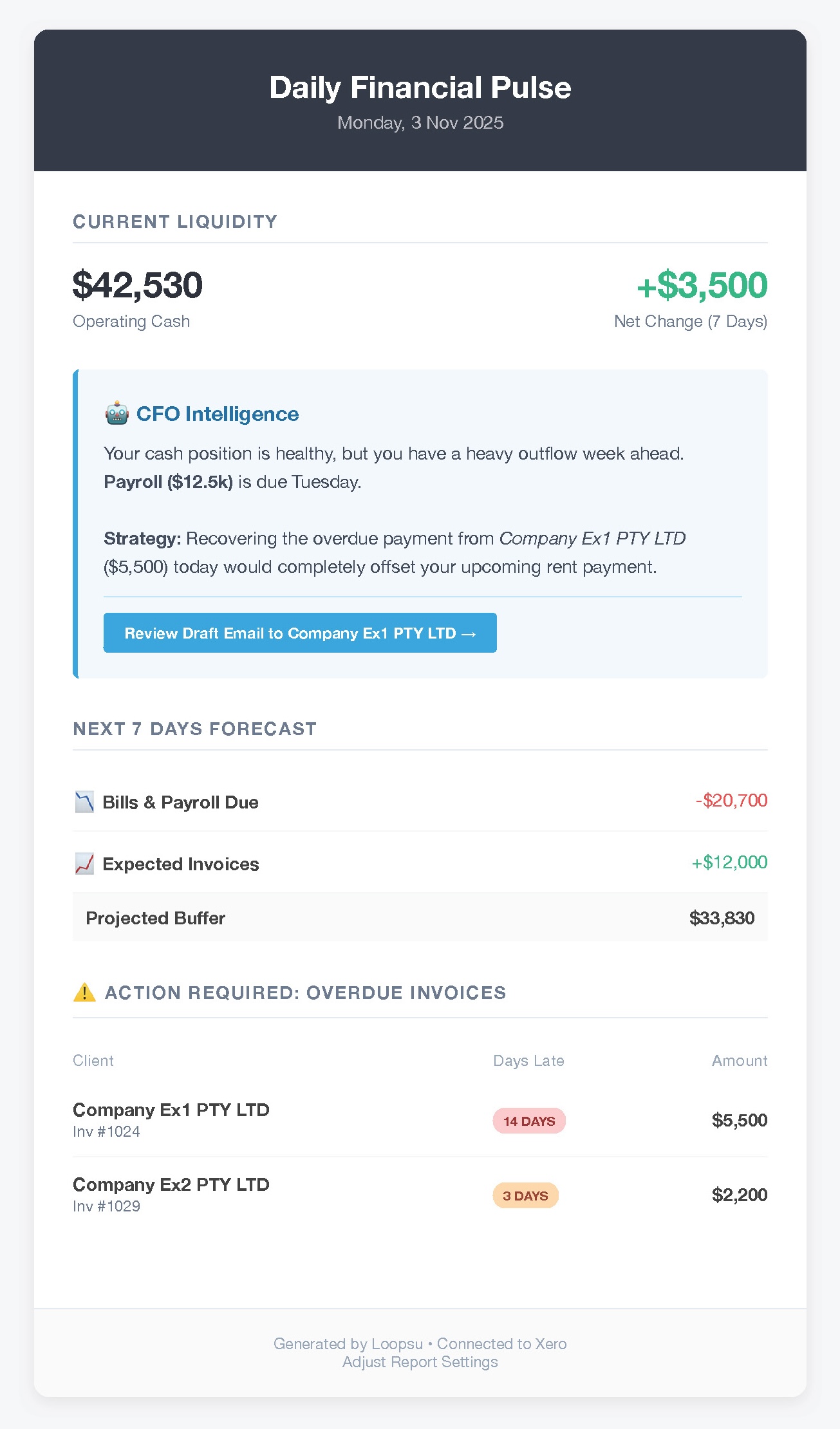Daily Financial Pulse Report Example